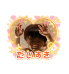 so12u（個別スタンプ：3）