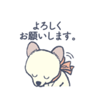 おめかし わんこ【#犬の日】（個別スタンプ：3）