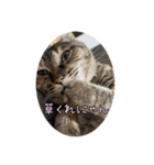 エムオースタンプ（個別スタンプ：10）