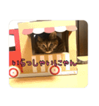 エムオースタンプ（個別スタンプ：11）