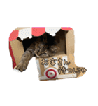 エムオースタンプ（個別スタンプ：12）