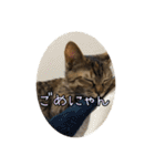 エムオースタンプ（個別スタンプ：20）