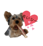 りんスタンプ第1弾（個別スタンプ：6）