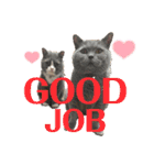 犬猫三昧①②（個別スタンプ：1）