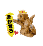 ゆめプーfamily！（個別スタンプ：1）
