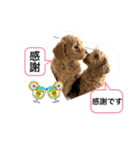 ゆめプーfamily！（個別スタンプ：2）