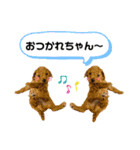 ゆめプーfamily！（個別スタンプ：7）