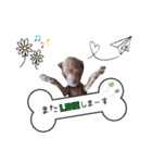 ゆめプーfamily！（個別スタンプ：9）