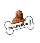 ゆめプーfamily！（個別スタンプ：18）