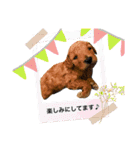 ゆめプーfamily！（個別スタンプ：22）