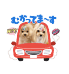 すずつむ心愛fam（個別スタンプ：7）