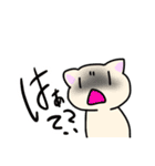 白猫シロと黒猫ロク（個別スタンプ：17）