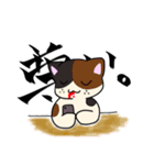 白猫シロと黒猫ロク（個別スタンプ：24）