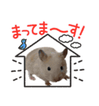 ハムちゃんスタンプその2（個別スタンプ：6）