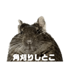 角刈りぐーちゃん2（個別スタンプ：7）