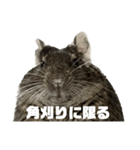 角刈りぐーちゃん2（個別スタンプ：14）