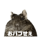 角刈りぐーちゃん2（個別スタンプ：15）