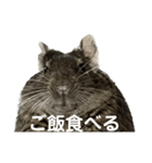 角刈りぐーちゃん2（個別スタンプ：19）