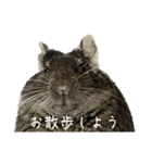 角刈りぐーちゃん2（個別スタンプ：21）