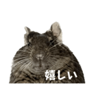 角刈りぐーちゃん2（個別スタンプ：23）