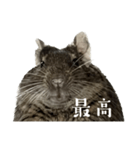角刈りぐーちゃん2（個別スタンプ：24）