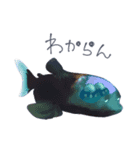 たまに透ける深海生物（個別スタンプ：13）