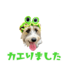 エブリデイ・アンディ（個別スタンプ：6）