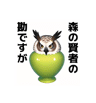 壺にハマっている動物たち（個別スタンプ：10）