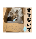 【モカとラテの日常】（個別スタンプ：29）