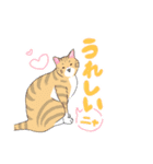 手描きの文字と猫たち（個別スタンプ：11）