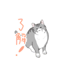 手描きの文字と猫たち（個別スタンプ：14）