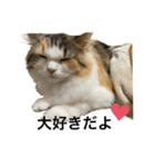 もこリコねこと仲間たち③（個別スタンプ：4）