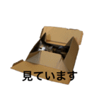 もこリコねこと仲間たち③（個別スタンプ：11）
