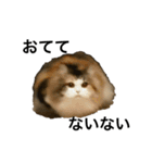 もこリコねこと仲間たち③（個別スタンプ：13）
