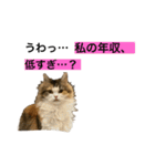 もこリコねこと仲間たち③（個別スタンプ：29）