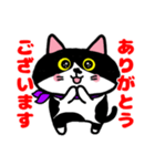 はちわれ猫ロック【よく使う】（個別スタンプ：6）