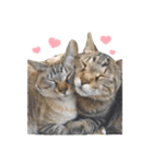 ハムた♡（個別スタンプ：1）