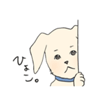 ニトちゃん⑩犬犬犬犬ウサギ猫（個別スタンプ：32）