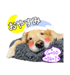 アージュのスタンプ（個別スタンプ：2）