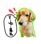 アージュのスタンプ（個別スタンプ：4）