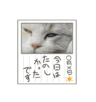 ミッシェルⅢ（個別スタンプ：11）