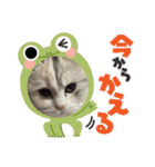 ミッシェルⅢ（個別スタンプ：14）