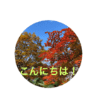 秋バージョン1（個別スタンプ：6）