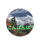 秋バージョン1（個別スタンプ：9）