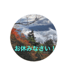 秋バージョン1（個別スタンプ：11）