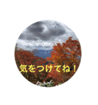 秋バージョン1（個別スタンプ：21）