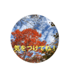 秋バージョン1（個別スタンプ：22）