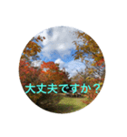秋バージョン1（個別スタンプ：30）