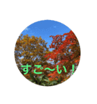 秋バージョン1（個別スタンプ：31）