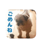 ももの毎日使えるスタンプ（個別スタンプ：4）